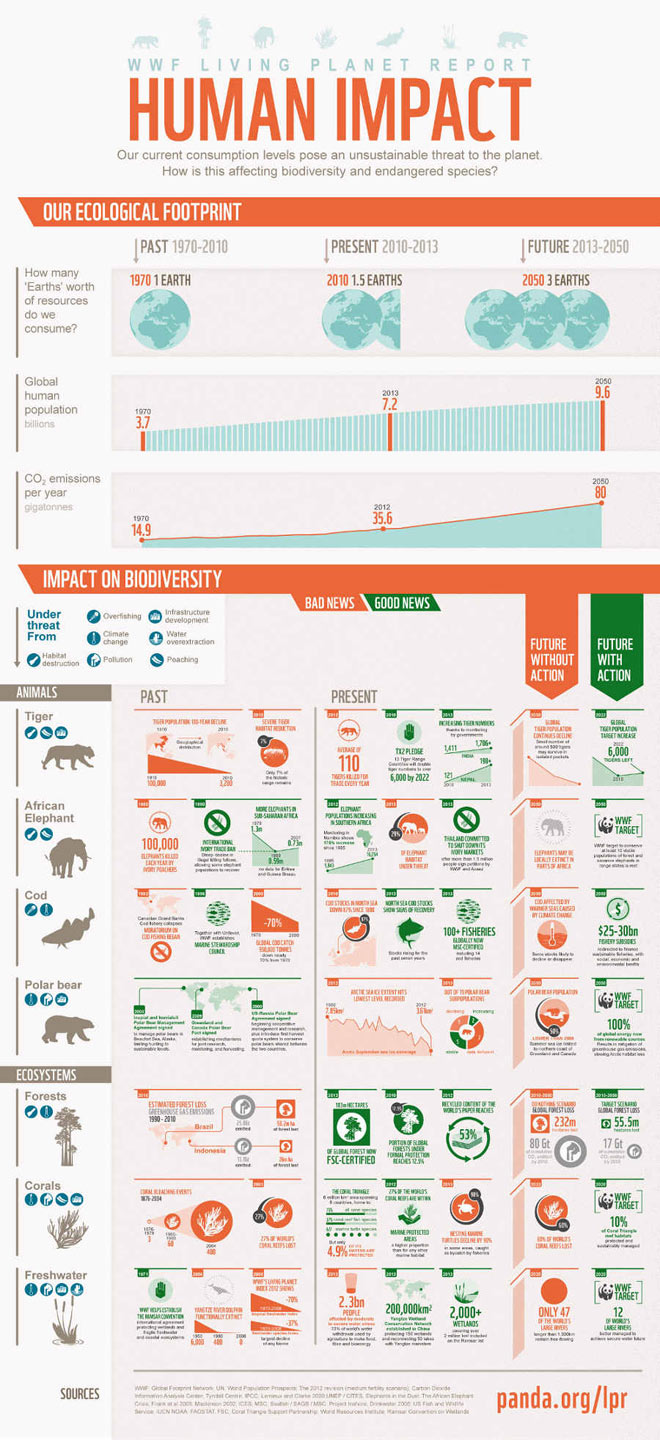 infografica