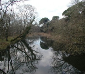 Tenuta di San Rossore - Fiume Morto vecchio - Foto di Antonio Giuntini