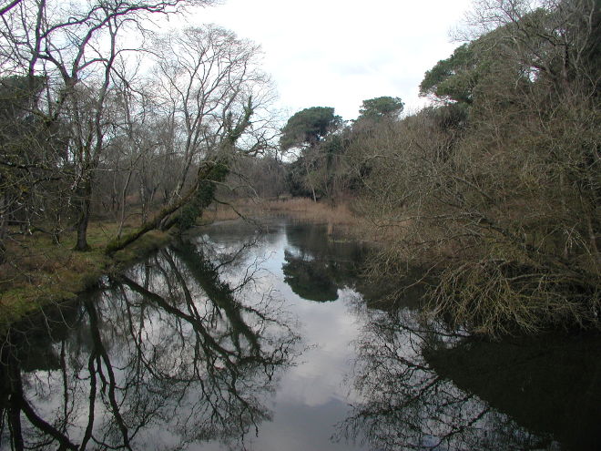 Tenuta di San Rossore - Fiume Morto vecchio - Foto di Antonio Giuntini