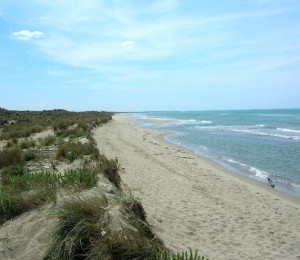 Spiaggia_del_Gombo