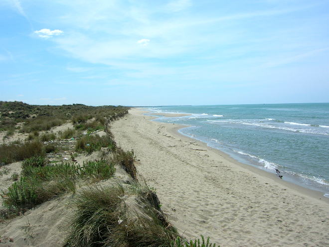 Spiaggia_del_Gombo