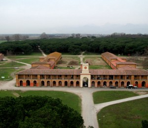 Tenuta-di-San Rossore - Sterpaia - Foto Archivio Ente Parco