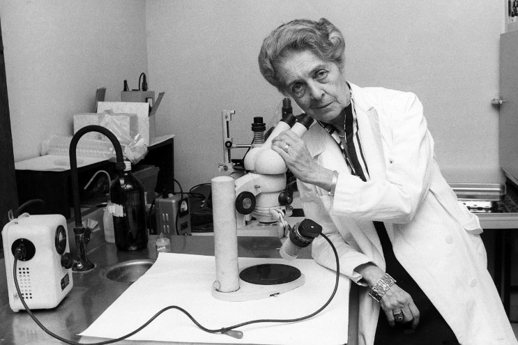rita-levi-montalcini