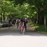 alleycat_5