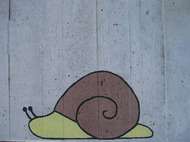 asilo