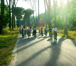 san-rossore-biciclette