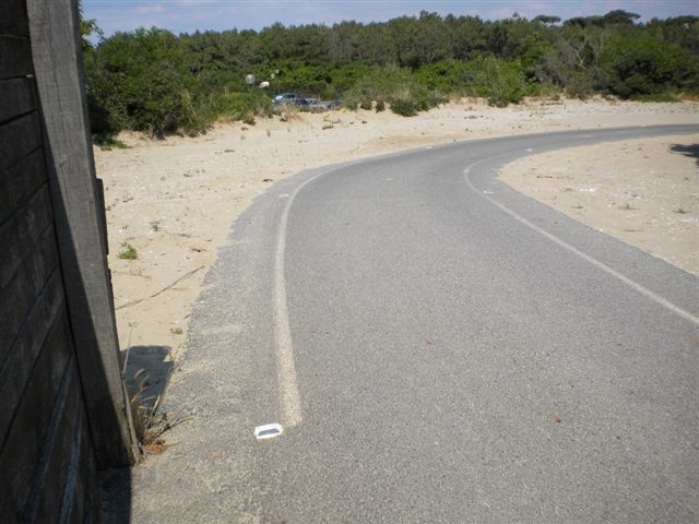 foto distruzione staccionata Dune di Tirrenia giugno2014