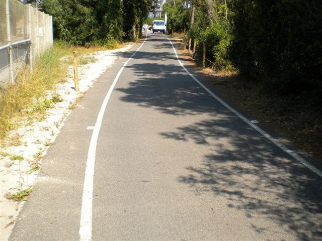 foto distruzione staccionata  Dune di Tirrenia giugno2014bis