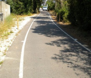 foto distruzione staccionata  Dune di Tirrenia giugno2014bis