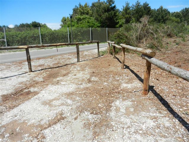 foto staccionata Dune di Tirrenia maggio2014