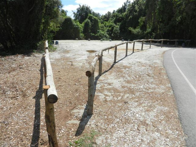 foto staccionata Dune di Tirrenia maggio2014bis