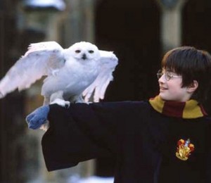 harry-potter