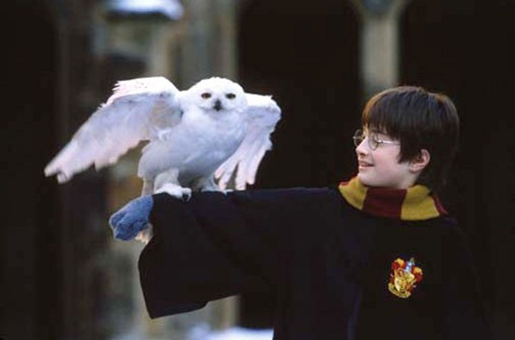 harry-potter