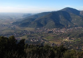 monti