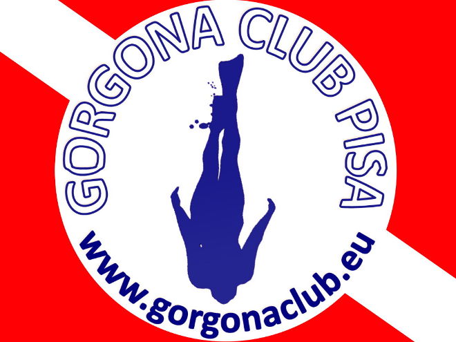 Gorgona 