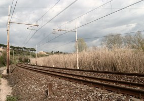 binari