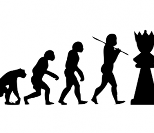 chess_evolution