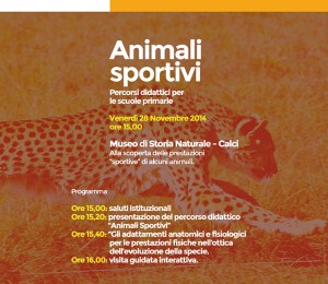 sportEcultura_calci_web
