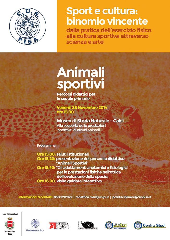 sportEcultura_calci_web
