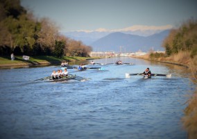 Navicelli+Rowing+Marathon