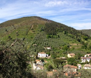 Monte Castellare Piedi_in_Cammino