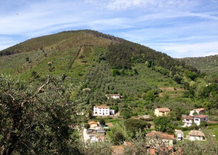 Monte Castellare Piedi_in_Cammino